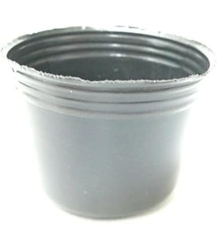 ポリポット　4cm　100個 楽天市場】ポリポット 4cm 黒 100個 : 所沢植木鉢センター